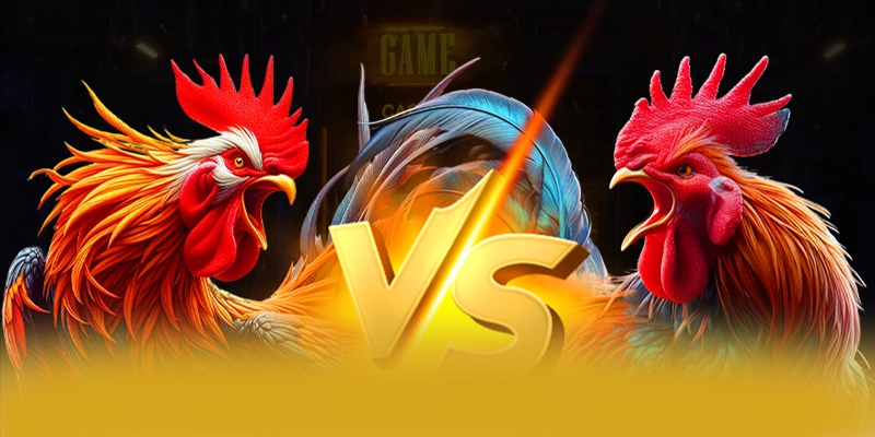 FB88 - Tổng kết một cách tổng quan.