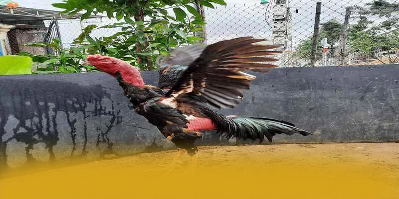 Phương thức thanh toán đa dạng tại GOOD88 Phương thức thanh toán đa dạng tại GOOD88